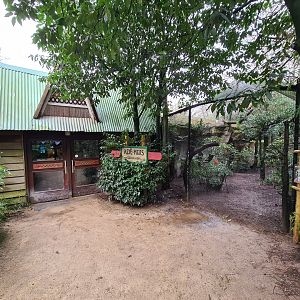 Asia - Entrance to Rumah Asia (left) and Bengal eagle-owl aviary