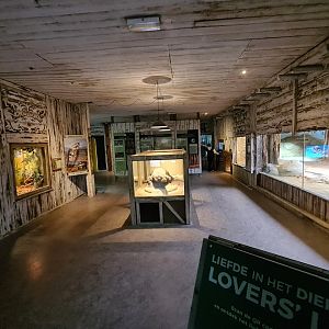 Asia - Rumah Asia (Asia house) interior