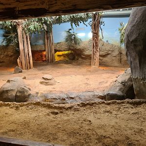 Asia - Komodo dragon enclosure in Rumah Asia