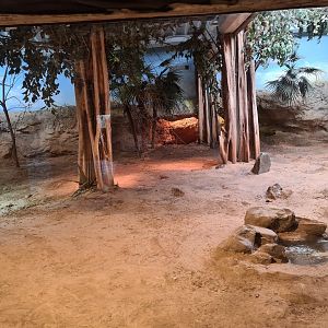 Asia - Komodo dragon enclosure in Rumah Asia