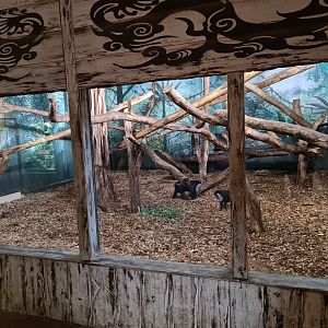 Asia - Lion-tailed macaque indoor holding in Rumah Asia