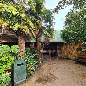 Asia - Rumah Asia (Asia house) exit