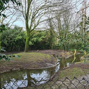 Asia - Visayan spotted deer enclosure