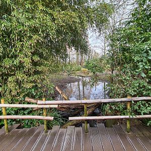Asia - Visayan spotted deer enclosure