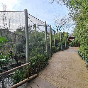 Asia - Fishing cat enclosure