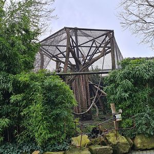 Asia - Francois langur enclosure