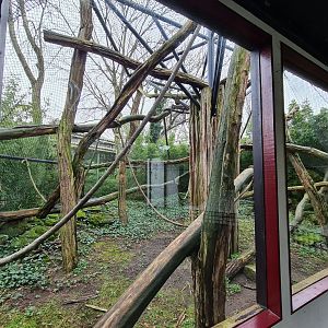 Asia - Francois langur enclosure