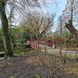 Asia - View in Chinese Garden