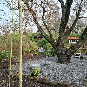 Asia - View in Chinese Garden