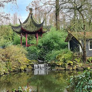Asia - View in Chinese Garden