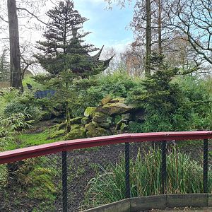 Asia - Michie's tufted deer enclosure
