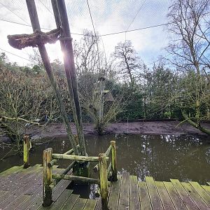 Asia - White-naped crane aviary in Asian swamp