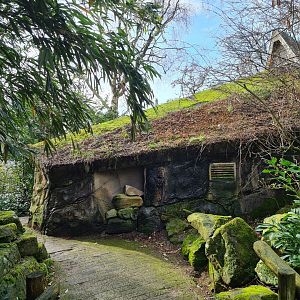 Asia - Sulawesi Black Crested macaque indoor holding building