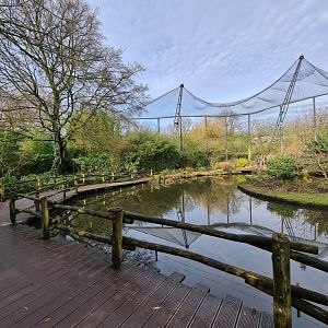 Asia - Boardwalk in Asian swamp