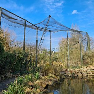 Asia - Giant Asian aviary "Burung Asia"