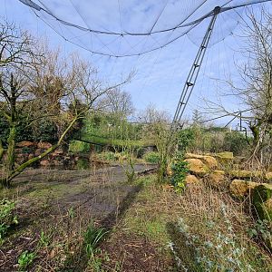 Asia - Burung Asia aviary interior