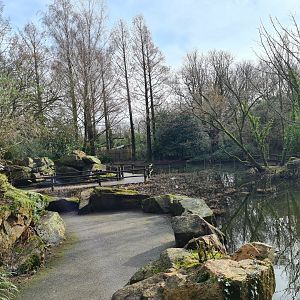Asia - Asian swamp walkway