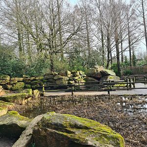 Asia - Asian swamp walkway