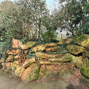 Asia - Rockwork and viewing point to Bactrian Camels