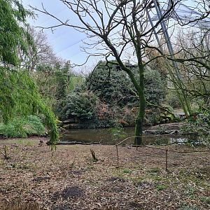 Asia - Burung Asia aviary interior
