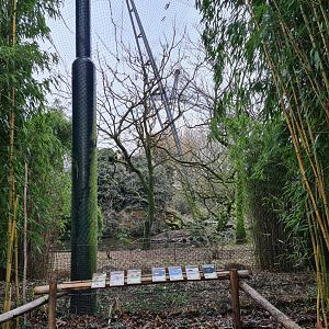 Asia - Burung Asia aviary viewing point