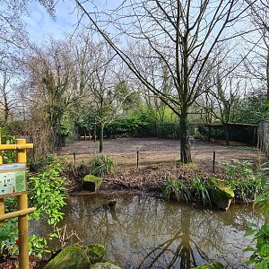 Asia - Blackbuck yard