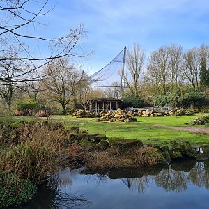 Asia - Bactrian camel enclosure