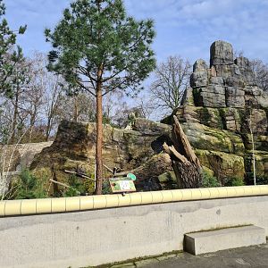 Asia - Mountain animal enclosure