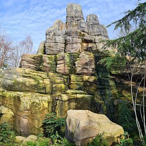 Asia - Mountain animal enclosure