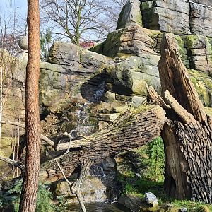 Asia - Mountain animal enclosure