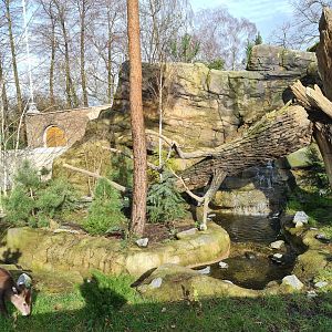 Asia - Mountain animal enclosure