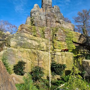 Asia - Mountain animal enclosure