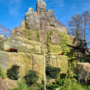 Asia - Mountain animal enclosure