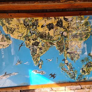 Asia - Map with South Asian animals