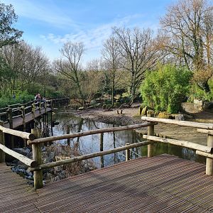 Asia - Boardwalk past Indian Rhinoceros enclosure