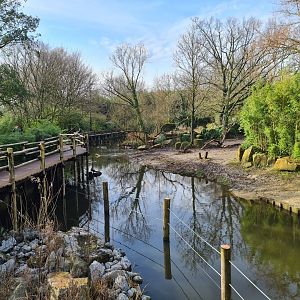 Asia - Boardwalk past Indian Rhinoceros enclosure