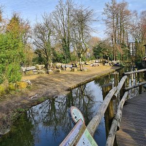 Asia - Boardwalk past Indian Rhinoceros enclosure