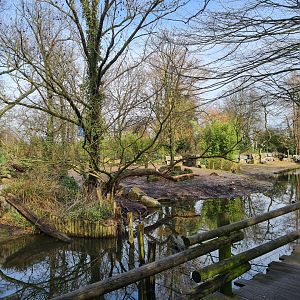 Asia - Indian Rhinoceros enclosure