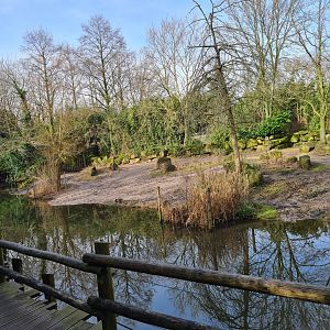 Asia - Indian Rhinoceros enclosure