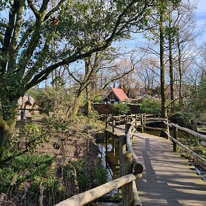 Asia - Walkway over second Red panda enclosure