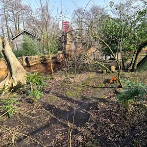 Asia - Second red Panda enclosure