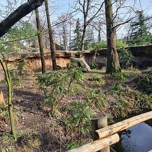 Asia - Second red panda enclosure