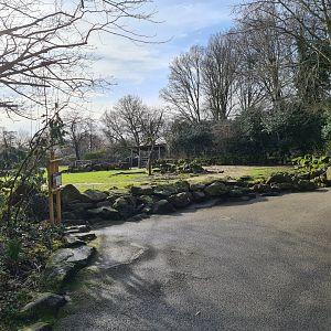Asia - Bactrian camel enclosure