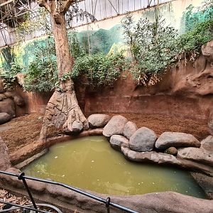 Asia - Indian Rhinoceros indoor enclosure in Taman Indah