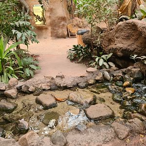 Asia - Stream and adventure path in Taman Indah