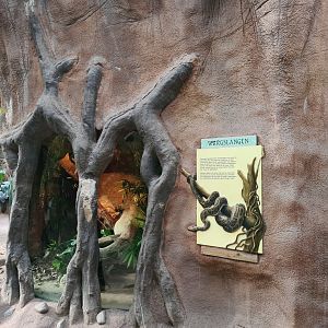 Asia - Burmese rock python enclosure in Taman Indah