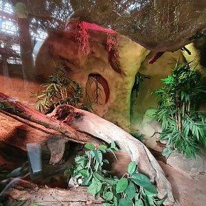 Asia - Burmese rock python enclosure in Taman Indah