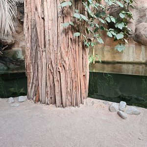 Asia - Aquarium in Taman Indah