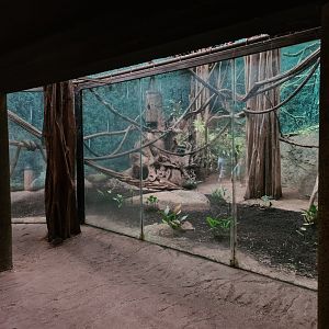 Asia - Wreathed hornbill enclosure in Taman Indah (bottom view)