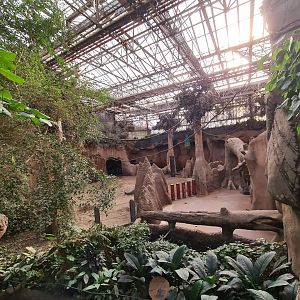 Asia - Elephant indoor enclosure in Taman Indah